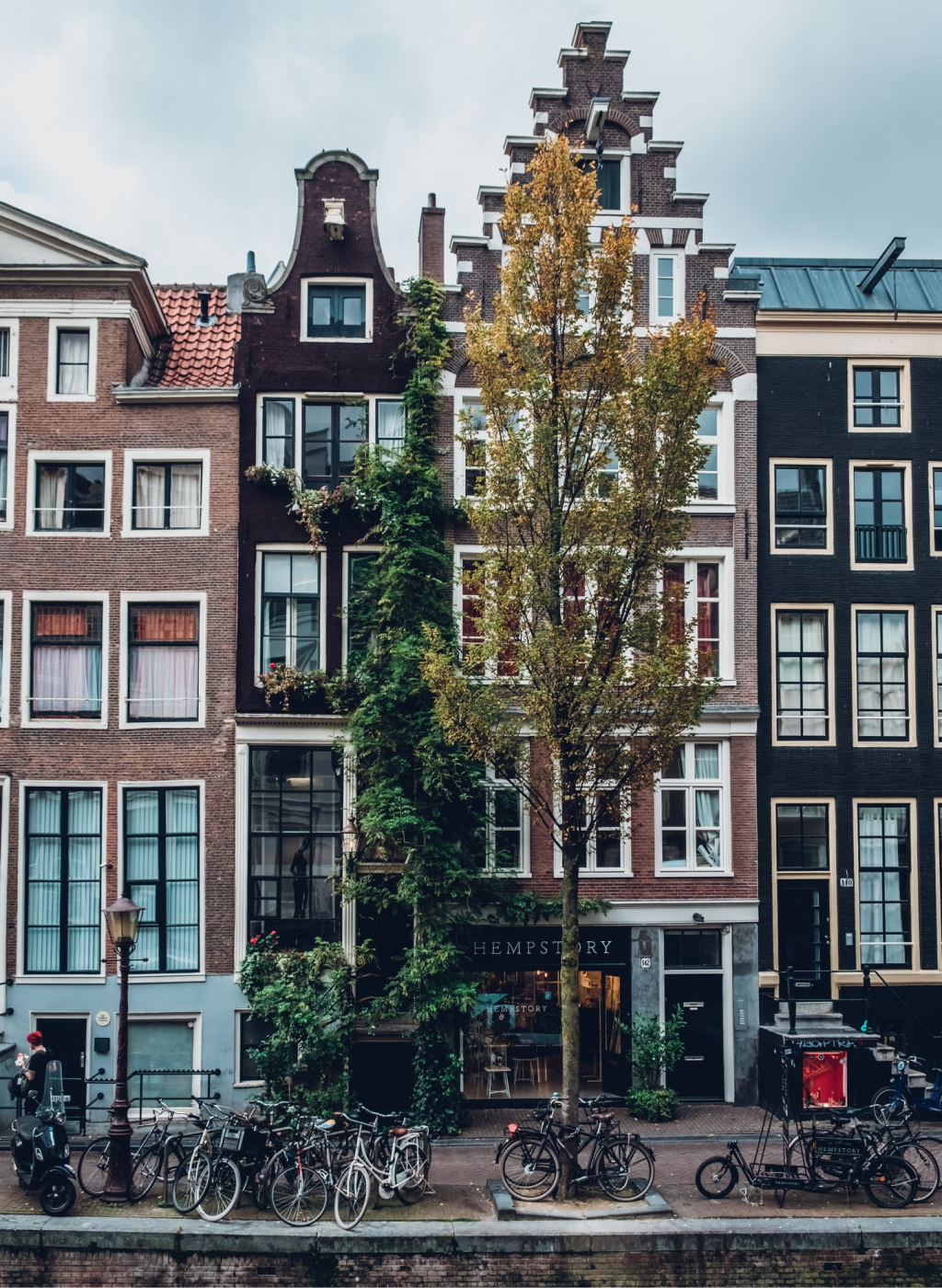 Amsterdam houses